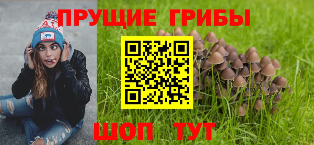 Псилоцибиновые грибы мухоморы  Псилоцибиновые грибы мухоморы  Тутаев 